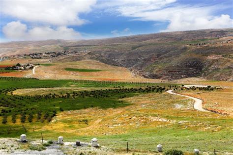 Palestine stock photo. Image of mountain, green, farm - 27180174