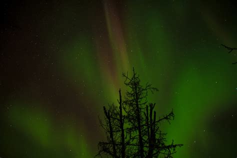 Aurora Sky » JuneauPhoto.com