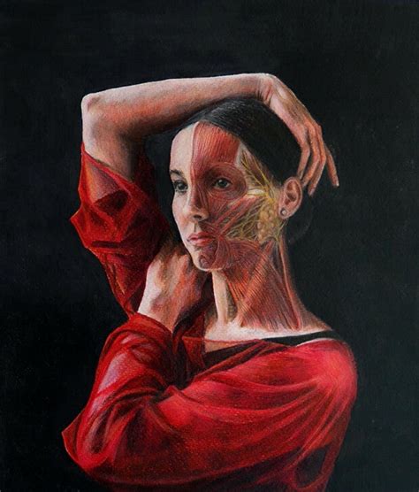 anatomy art sieben medical art