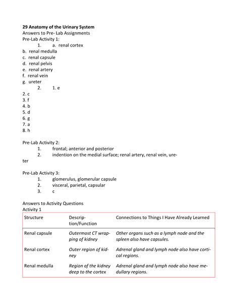 29 Anatomy Of The Urinary System Answers To Pre Lab Assignments Pre