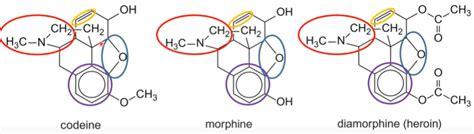 Examples Of Strong Analgesics Are Morphine Codeine And Diamorphine