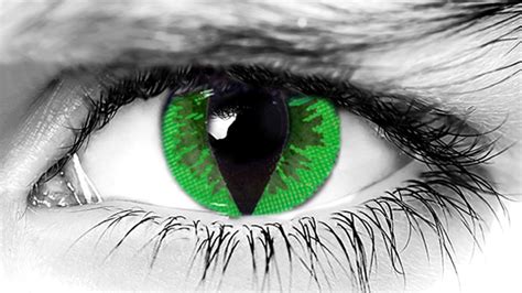 Green Reptile - Samhain Contact Lenses