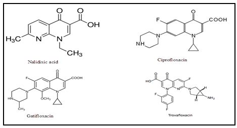 Structure of Quinolones | Download Scientific Diagram