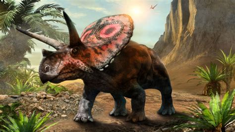 Triceratops: interesting facts about the three-horned dinosaur