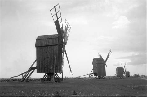 A photo of Windmills : r/notinteresting