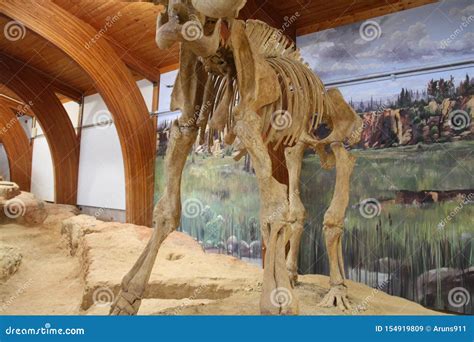 Mammoth Museum In Hot Springs South Dakota Editorial Stock Image Image Of South Dakota 154919809