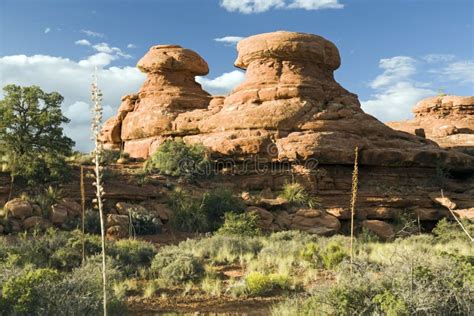 Sandstone Hoodoos in Grand Canyon Stock Photo - Image of orange, stone ...