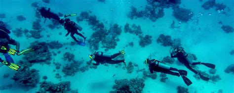 Scuba Dive Trips | Loco 4 Travel