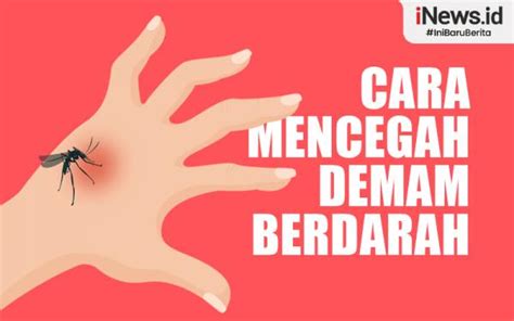 Infografis Kasus Dbd Di Indonesia Naik Berikut Cara Mencegahnya