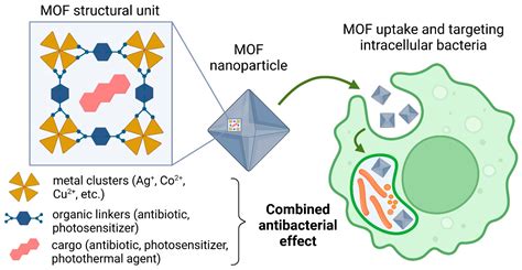 Pharmaceutics Free Full Text Metal Organic Framework Based