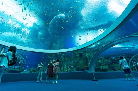 Of The Best Aquariums In The World For Your Bucket List