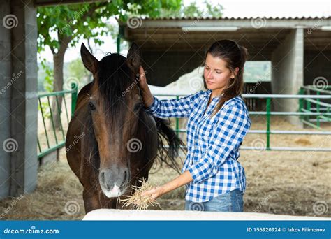 Woman Feeding Horse Stock Photo Image Of Lifestyles 156920924