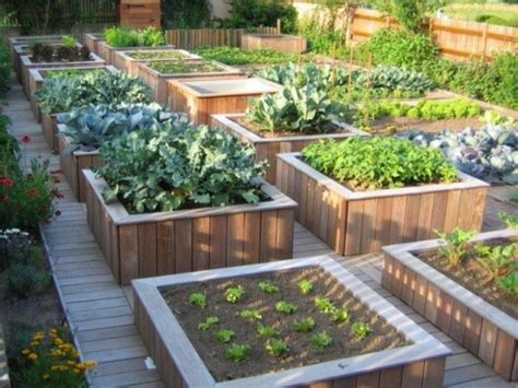 Construire un potager surélevé pour jardiner debout Potager surélevé