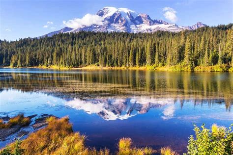 Excursão ao Parque Nacional do Monte Rainier saindo de Seattle