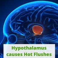 What causes a Hot Flush after Eating? · calcount