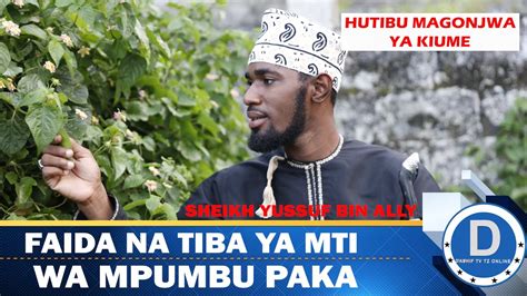 MTI WA MPUMBU PAKA HUTIBU MAGONJWA YA KICHAWI KWA WANAUME SHEIKH