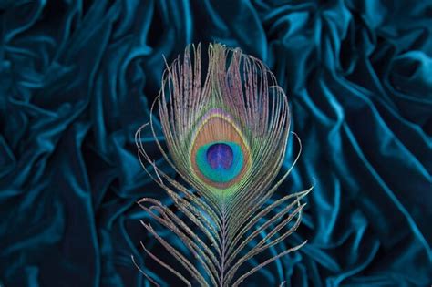 Premium Photo Peacock Feather On Velvet Fabric