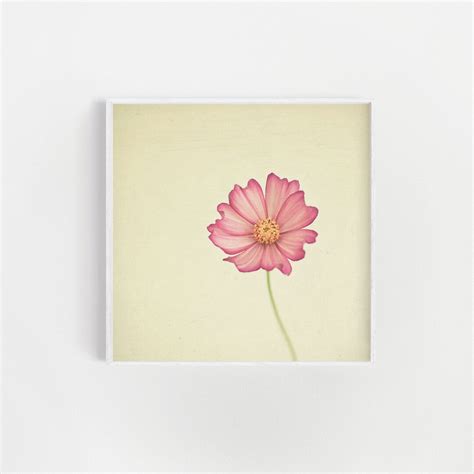 Pink Floral Print, Minimal Flower Print, Botanical Photography Stay the ...