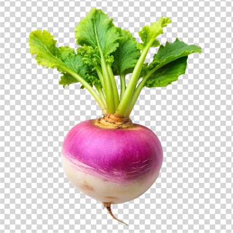 Premium Psd Turnip With Leave Top View Isolated On Transparent Background