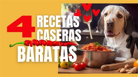 4 ★ Comidas Caseras Para Consentir A Tu Perro Sin Gastar Mucho Dinero Economicas Youtube