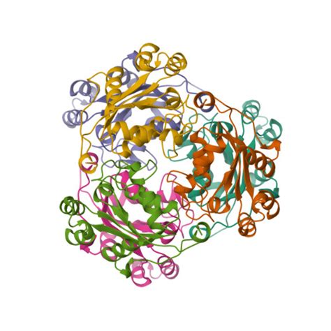 Rcsb Pdb Nsk The Crystal Structure Of A Human Nucleoside