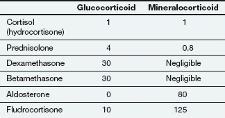 Glucocorticoid Conversion Chart