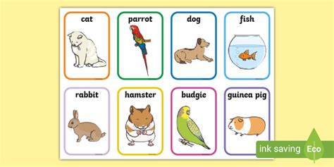 Pet Flashcards (Teacher-Made)