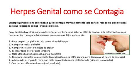 Herpes Genital Que Data De Contagia Sin Brotes Descargar Manual