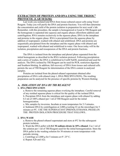 EXTRACTION OF PROTEIN AND DNA USING THE TRIZOL