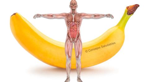 Los Efectos De Comer Bananas Al D A Durante Un Mes En Tu Cuerpo