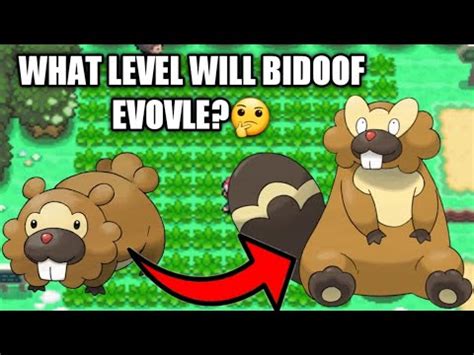 How To Evolve Bidoof To Bibarel On Pokemon Diamond Pearl Platinum