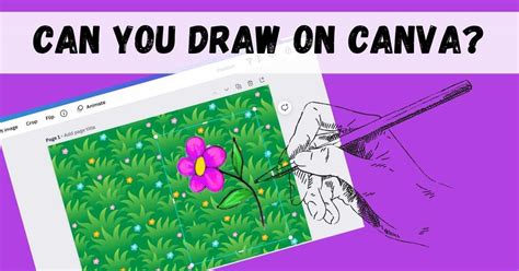 Can You Draw On Canva Tips Tricks For Creatives Artsydee