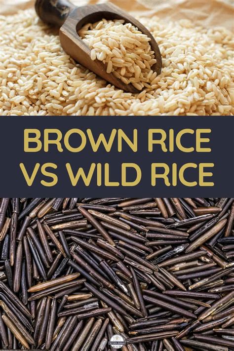 Brown Rice Vs Wild Rice