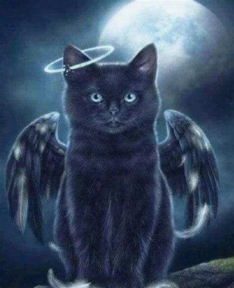 Female Angel Cat Spiritual Familiar Remote Binding Etsy Black Cat