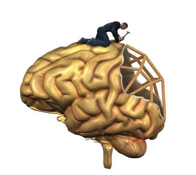 Neuroplasticity: How the Brain can Change and Adapt! — NeuroLab 360