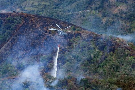 Peru Incendios Dejan 20 Muertos Y Miles De Hectáreas Arrasadas