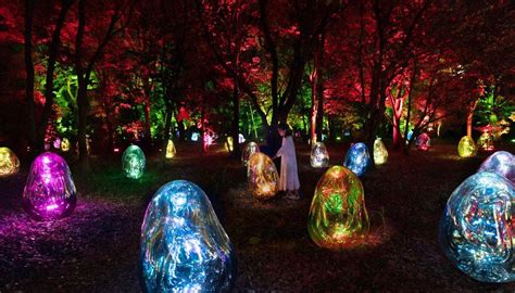 Esiste Un Giardino Delle Meraviglie Che Sillumina Di Notte Gigigram