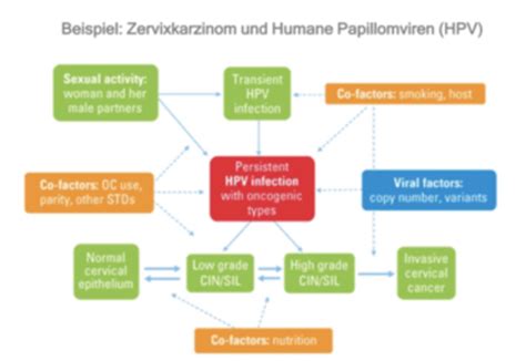 Was Ist Epidemiologie Flashcards Quizlet