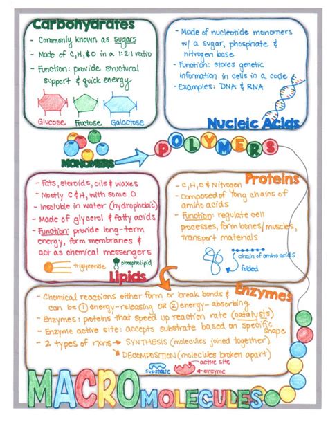 How to Use Science Doodle Notes in High School - Suburban Science