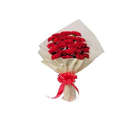 Buy Ferns N Petals Flower Bouquet True Modesty 500 Gm Online At The