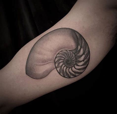 Nautilus Shellfibonacci Spiral Tattoo By Christina Ramos At Memoir