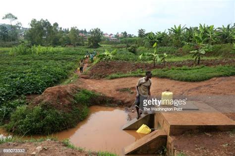 Ntare School Photos and Premium High Res Pictures - Getty Images