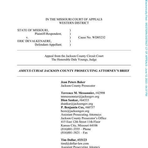 Conditionally Filed Amicus Brief Pdf Docdroid