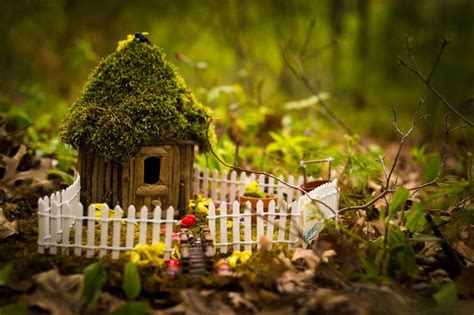 Wanted: Fairy & Gnome Homes - FAIRY GNOME DISCOVERY WALK - APRIL 28 ...