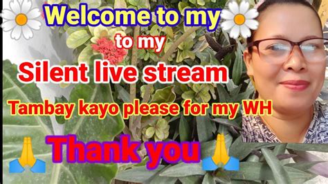 Welcome To May Silent Live Stream Please Support Mga Langga For My Wh