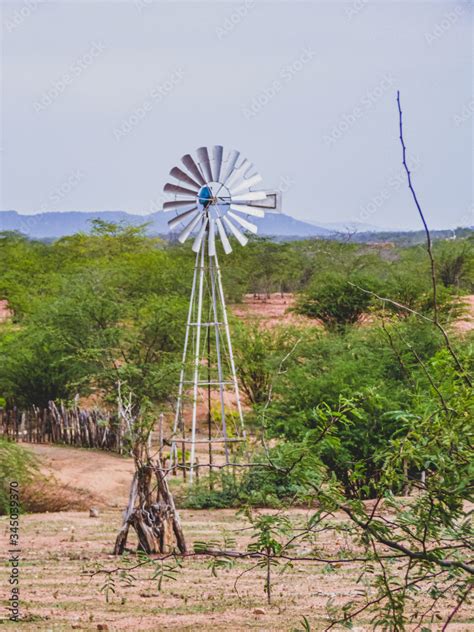 Imagem De Uma Regi O Rural No Sert O Do Cariri Conta A Caatinga