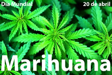 Dia Mundial De La Marihuana 20 Abril Días Mundiales