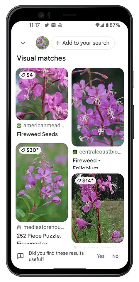 How To Identify Plants With Google Lens Quick Easy Free Simply