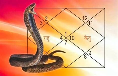 Kaal Sarp Dosh Nivaran Puja Reason Benefits And Puja Vidhi