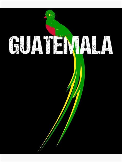 "Guatemalan Quetzal The National Bird Of Guatemala" Poster by inkedtee | Redbubble